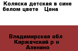 Коляска детская в сине-белом цвете › Цена ­ 10 000 - Владимирская обл., Киржачский р-н, Аленино д. Дети и материнство » Коляски и переноски   